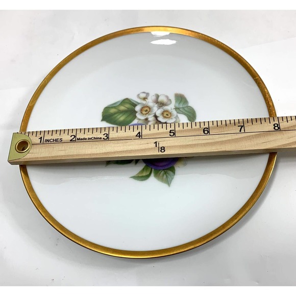 2 Vtg Hutschenreuther Selb Salad Plates Bavaria Germany Pasco Plums Grapes - Picture 7 of 7